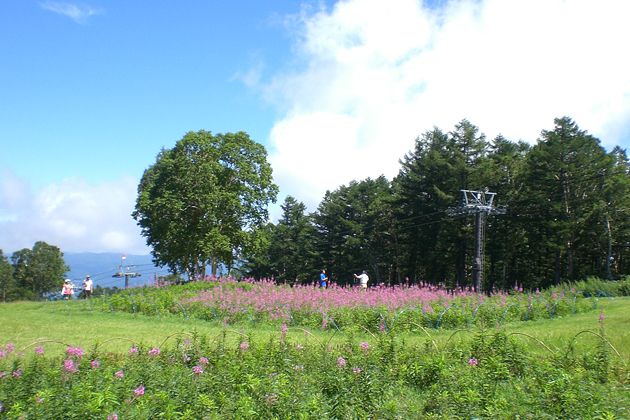 上ノ平高原①