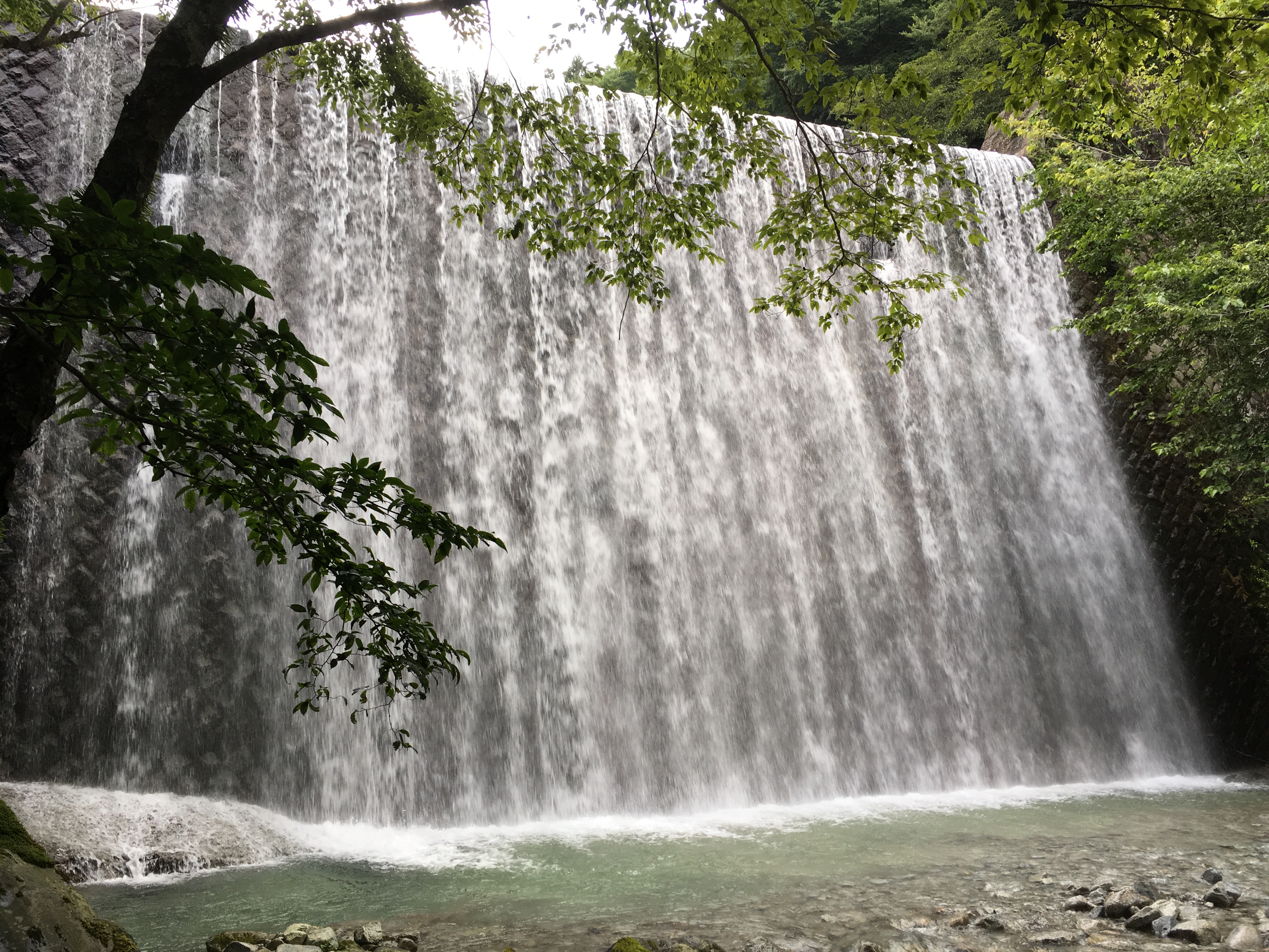 あしがらの激坂楽しもう！「山北町」編 | あしがらロングライド